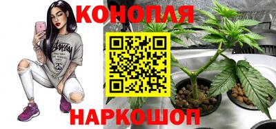 бутик Гай