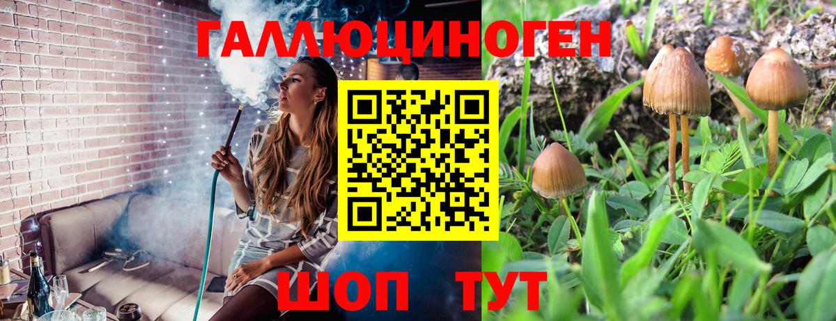NBOMe  Codein  Марихуана  Вход с VPN  Можга  Гашиш  Alpha PVP СК кристаллы  Меф МЯУ МЯУ кристаллы 