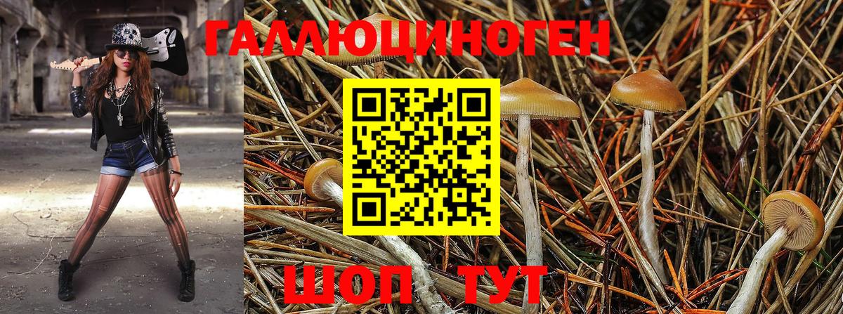 Галлюциногенные грибы Cubensis Можга